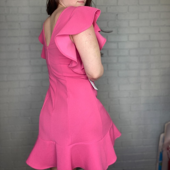 Harper Wren Lohan Dress Pink Ruffle Dress Size Large NEW with Tags - Picture 12 of 12